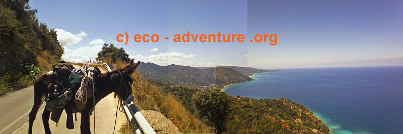 Hercule enjoys the lovely panorama view in the sicilian mountains.