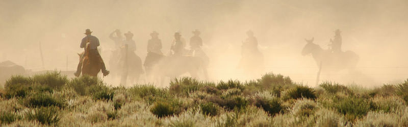 Many cowboys riding on their horses.