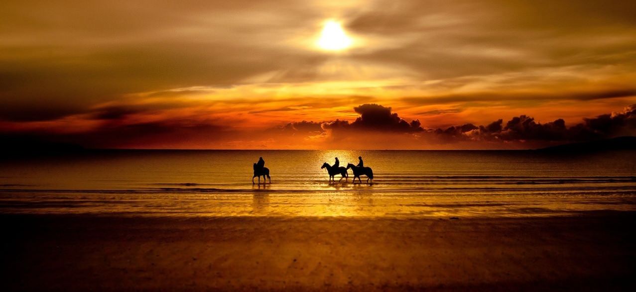 Three cowboys horseback riding long the beach in to the sunset.