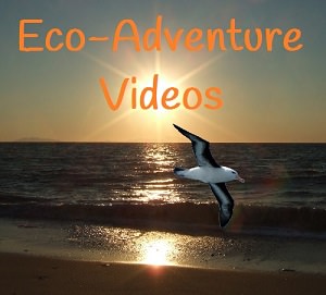 Eco-Adventure.Org Video Channel