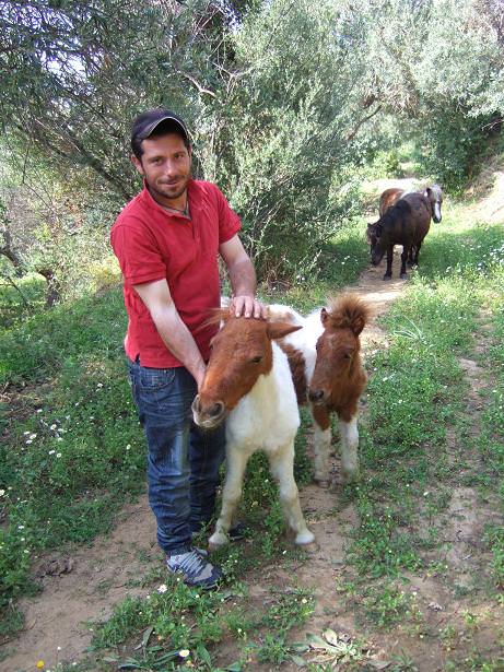 Francesco Brancatelli and his ponies