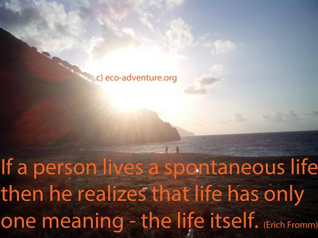 If a person lives a spontaneous life then he realizes that life has only one meaning - the life itself. (Erich Fromm)